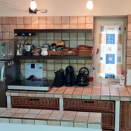 Koeroesparti Paradicsom * 索尔沃什